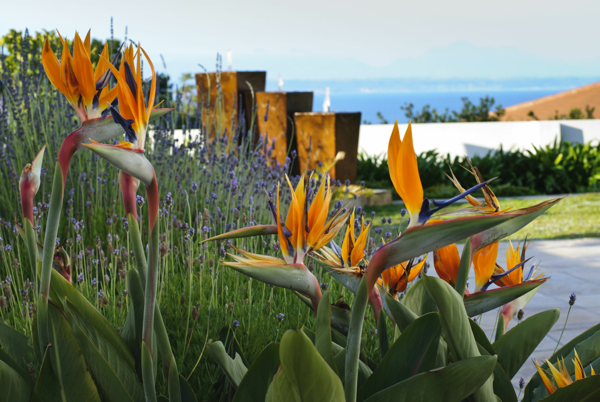 Aquamarine Guest House Mossel Bay Ngoại thất bức ảnh
